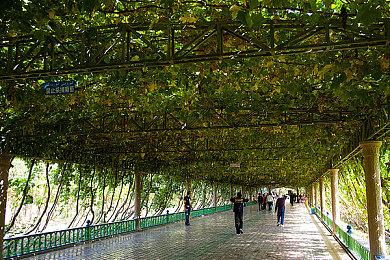 《暗影火炬城》公布发售预告 9月7日登陆PS5＆PS4平台